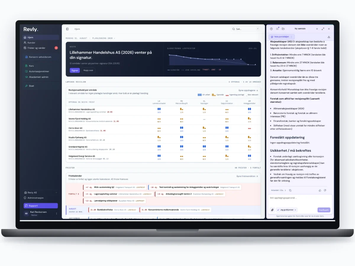 Revly med Revisjonsagentene i laptop-ramme, syntetiske demodata